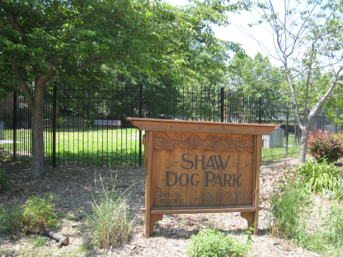 Let Your Dog Run in a St. Louis Dog Park - Arch City Homes #stlouis