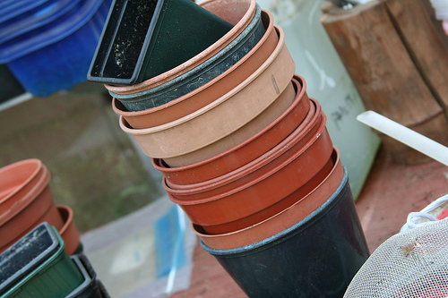 St. Louis Recycling Program: Plastic Garden Pots and Trays - Arch City Homes #stlouis #recycling