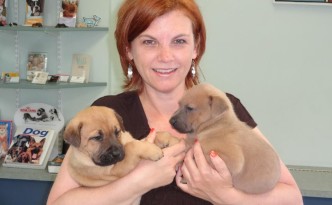 Rescue day - Jojo and Sylvie
