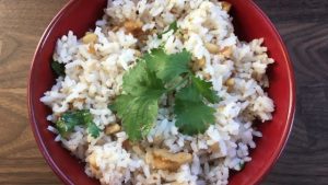 Indian Garlic Rice | Future Expat